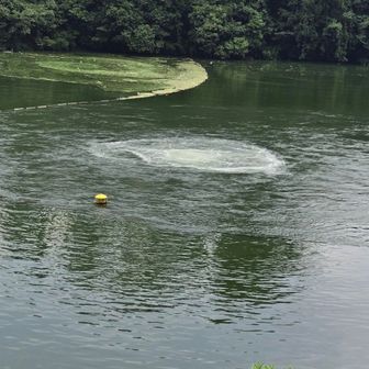 相模湖の、湧き水？大量に出ている様子