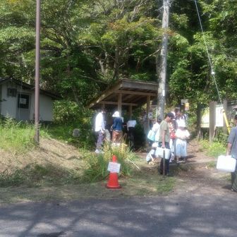 中蒜山登山道は苔石や木根道になっており転ばないよう⚠注意が必要です。足先を折れた木根に引っ掛けて、前につんのめった所に🌳があって危うく頭ぶつけるところでした😰
そしてやっとお目当ての塩釜の冷泉飲むために持って来たドリンクを全部飲みきって下りてきたら、ポリタンク持った人の行列が！！！待ってられないので諦めて、近くの道の駅の自販機でトマトジュースと麦茶買って上蒜山登山口に戻る




