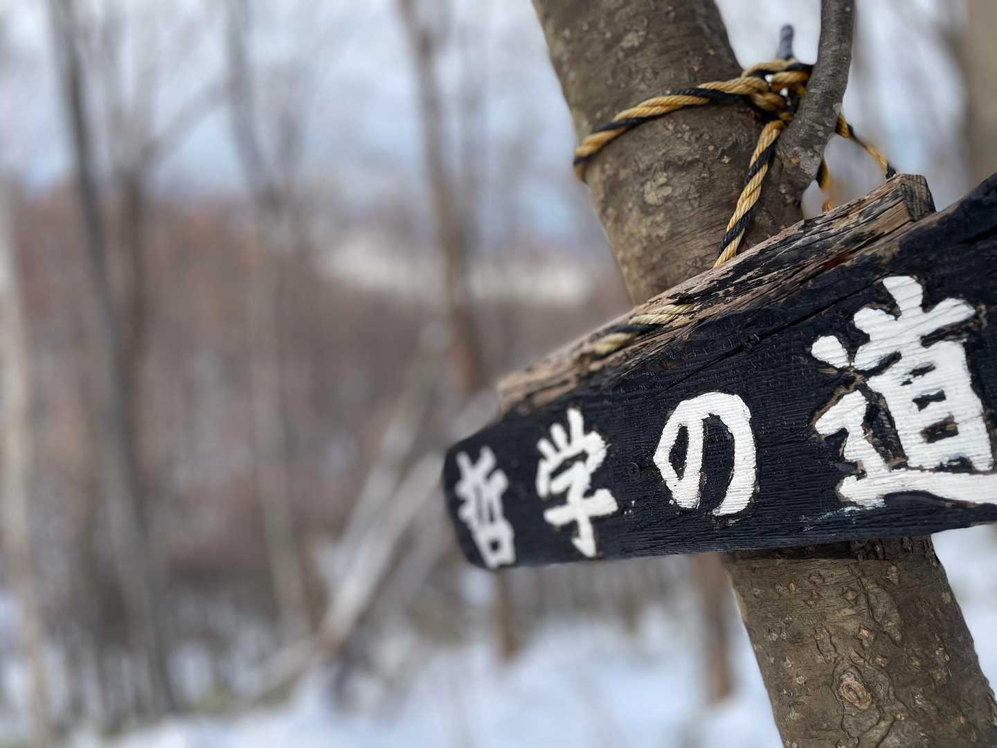 哲学る