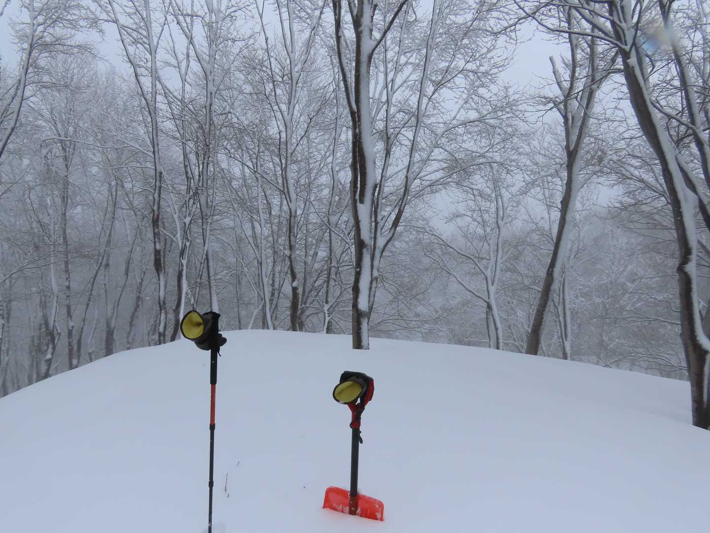 着いたー、祝、男山登頂‼️長岡方面。今まで来た中で一番積雪が多く、木がまばらに感じられる。晴れてれば展望あったかも。でも全然OK！