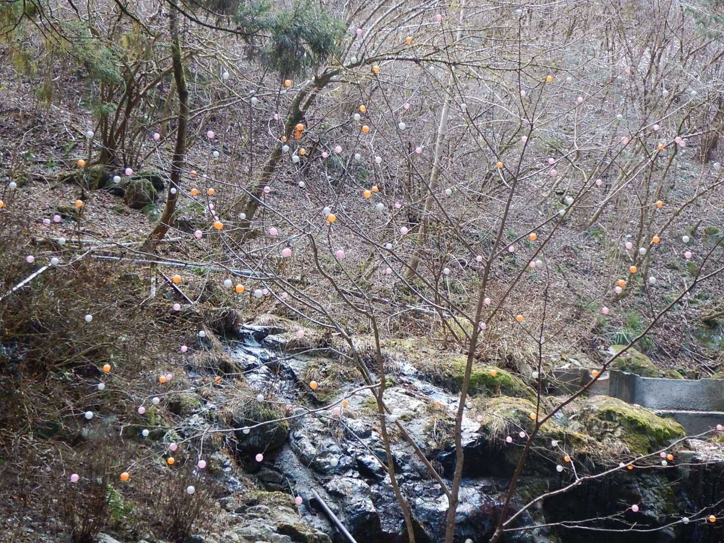 繭玉の様な飾りが付けられてました。