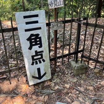 山頂⛰️