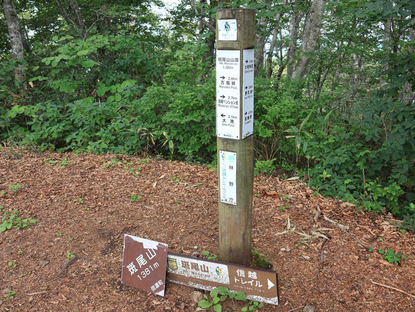 斑尾山山頂
誰もいない