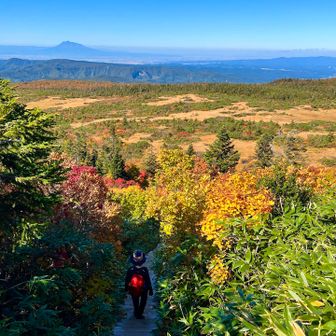 錦の絨毯🍁🍃🍂✨