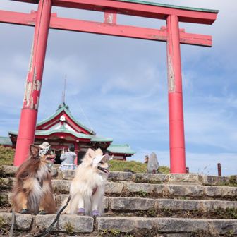 箱根本宮神社