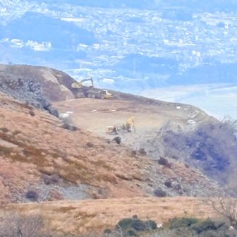 日に日に削られてます😢