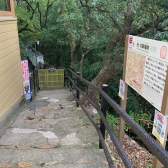 ろうぷ亭まで降りてまた階段を上がる
展望台レストランから先は通行止
展望台レストランから直接岐阜城に行くことはできません