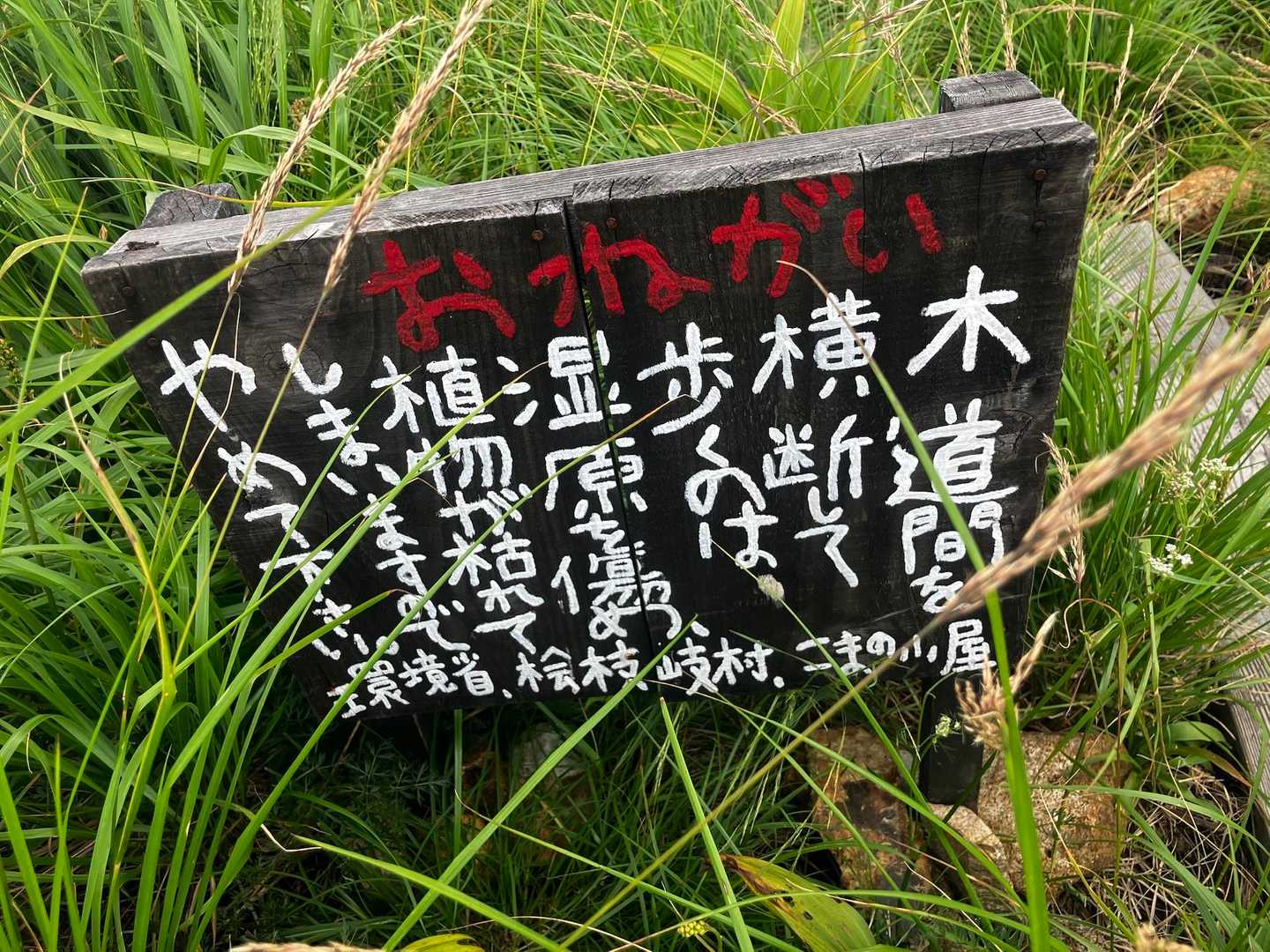 あちこちにある看板