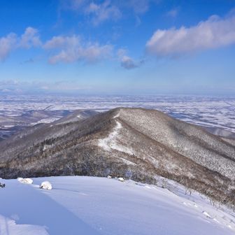 この尾根、下れば清水町に抜けられそうに見える…？👀