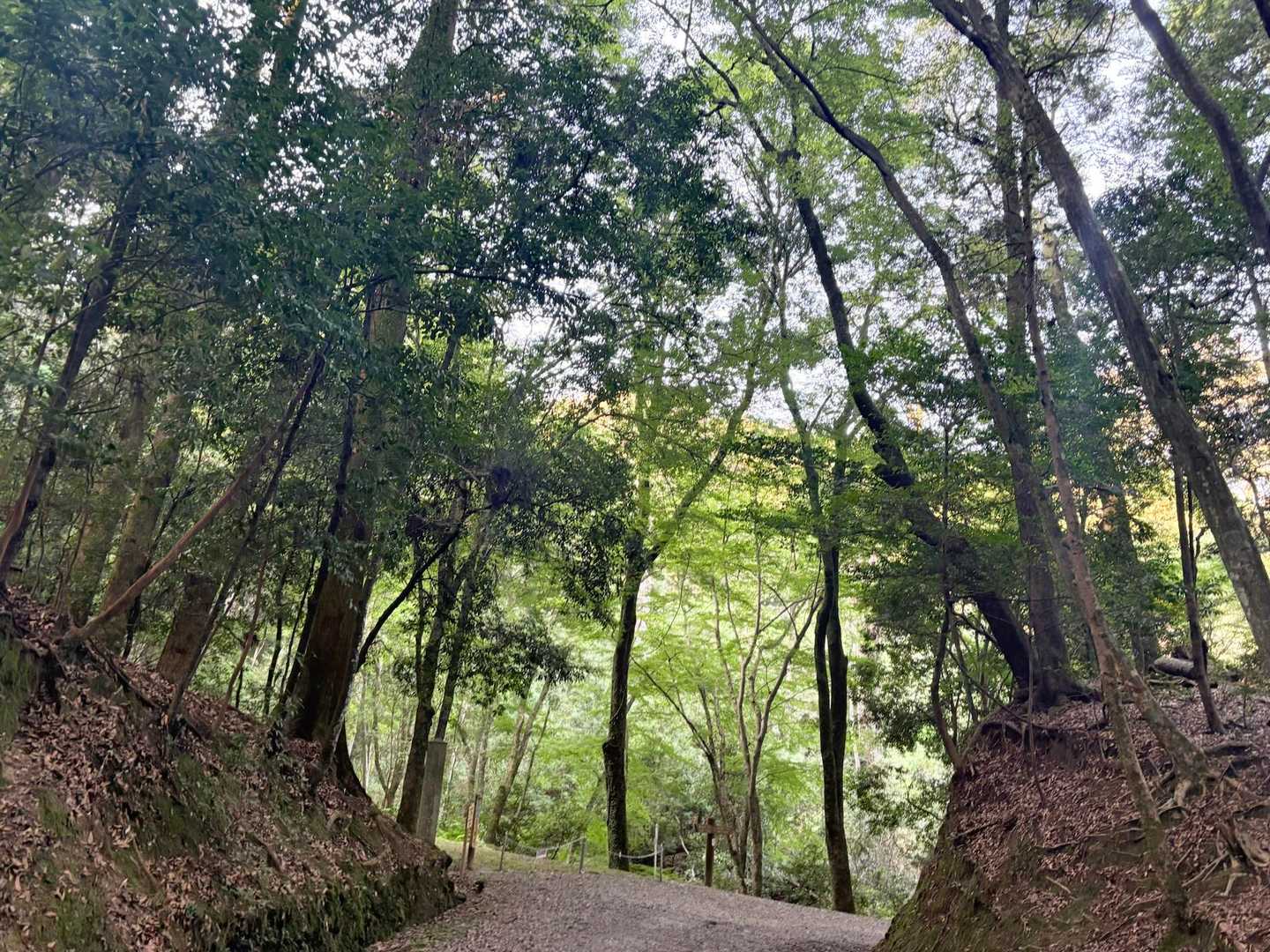若草山麓バス停-春日大社 周回コースの写真