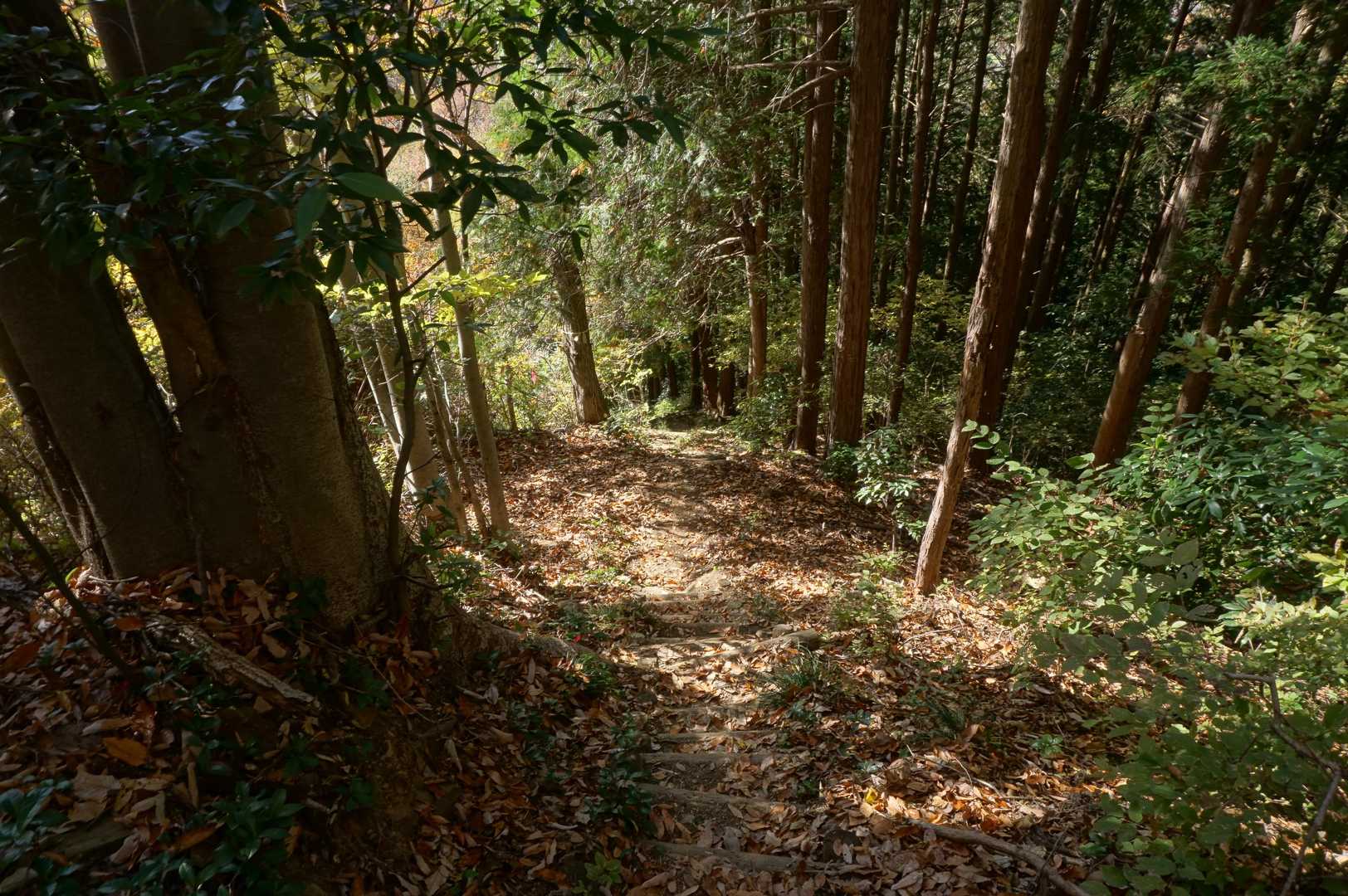 ココからの下山階段がエグい…