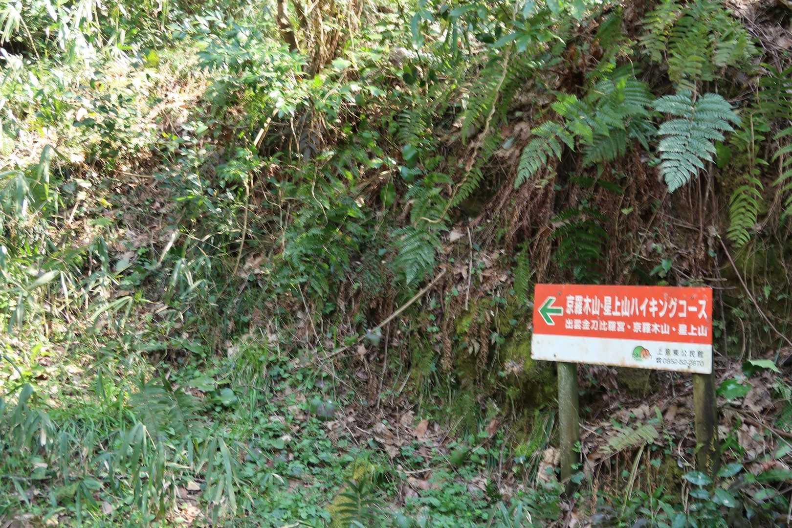 登山道へ