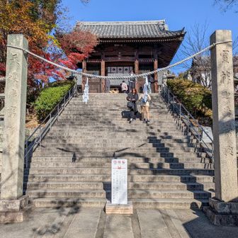 階段を上って阿智神社にお参り
そしてここが鶴形山だということを、後から知りました…
本殿の裏にグレーピークがあるようです