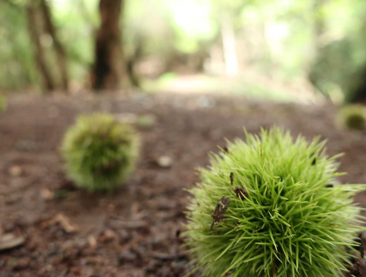 秋も近いが暑さも引かない