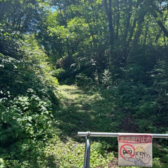 ここに数台車が駐車してありました