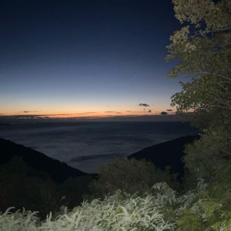 少し明らみ始めて。良さげな予感⁉️