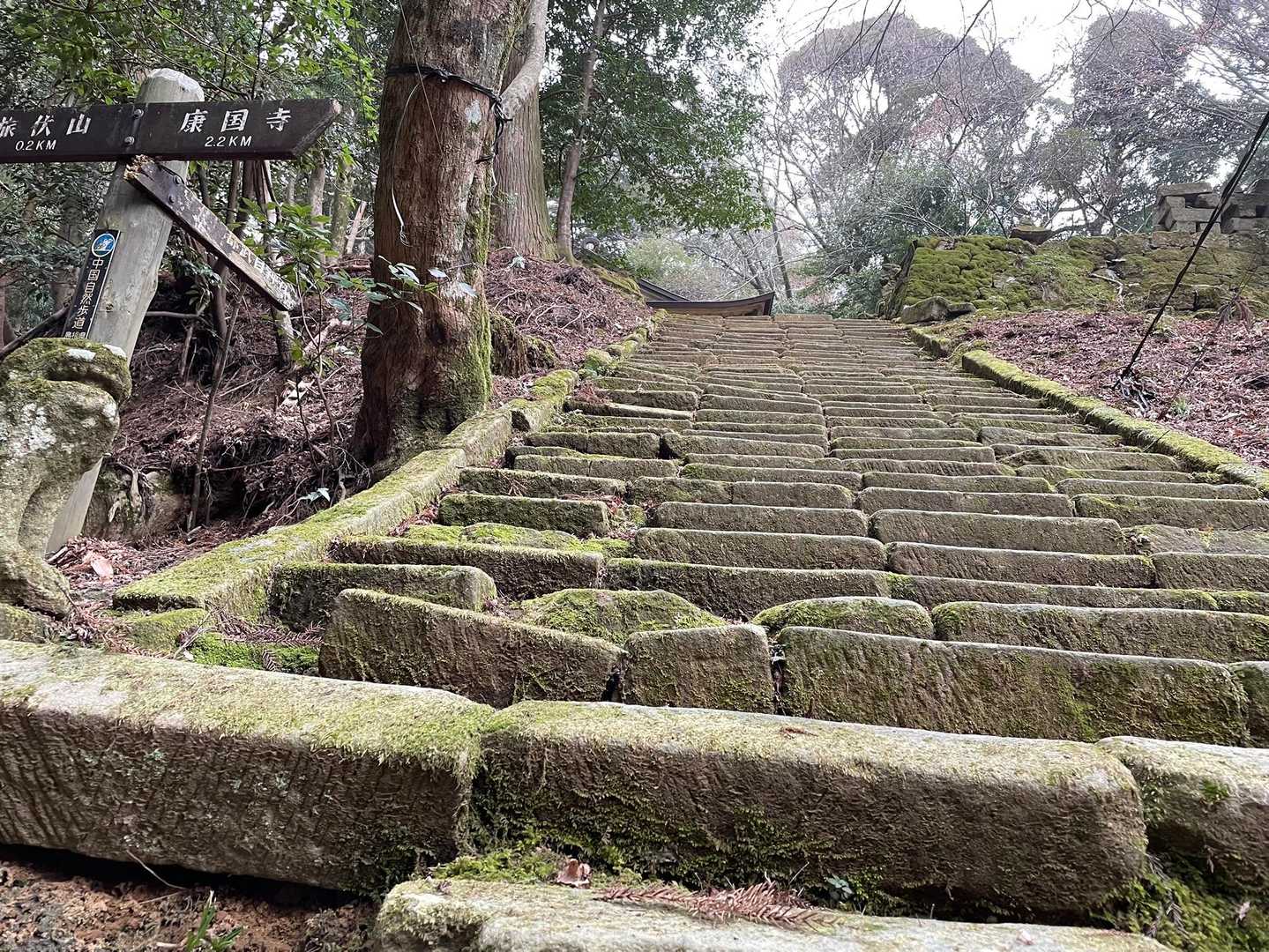 旅伏峰-伊努谷峠-鼻高山-矢尾峠-大黒山-遥堪峠-万ヶ丸山 縦走コースの写真