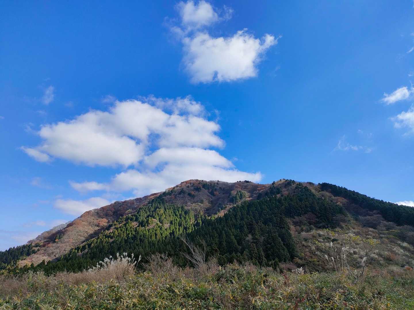 いつも下りは元気いっぱい!!(笑)
振り返り、一番手前が雷山かね…?