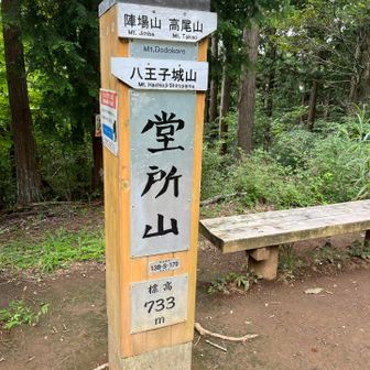 寄るつもりなかったのですが、ルート間違えてしまいました。眺望なし