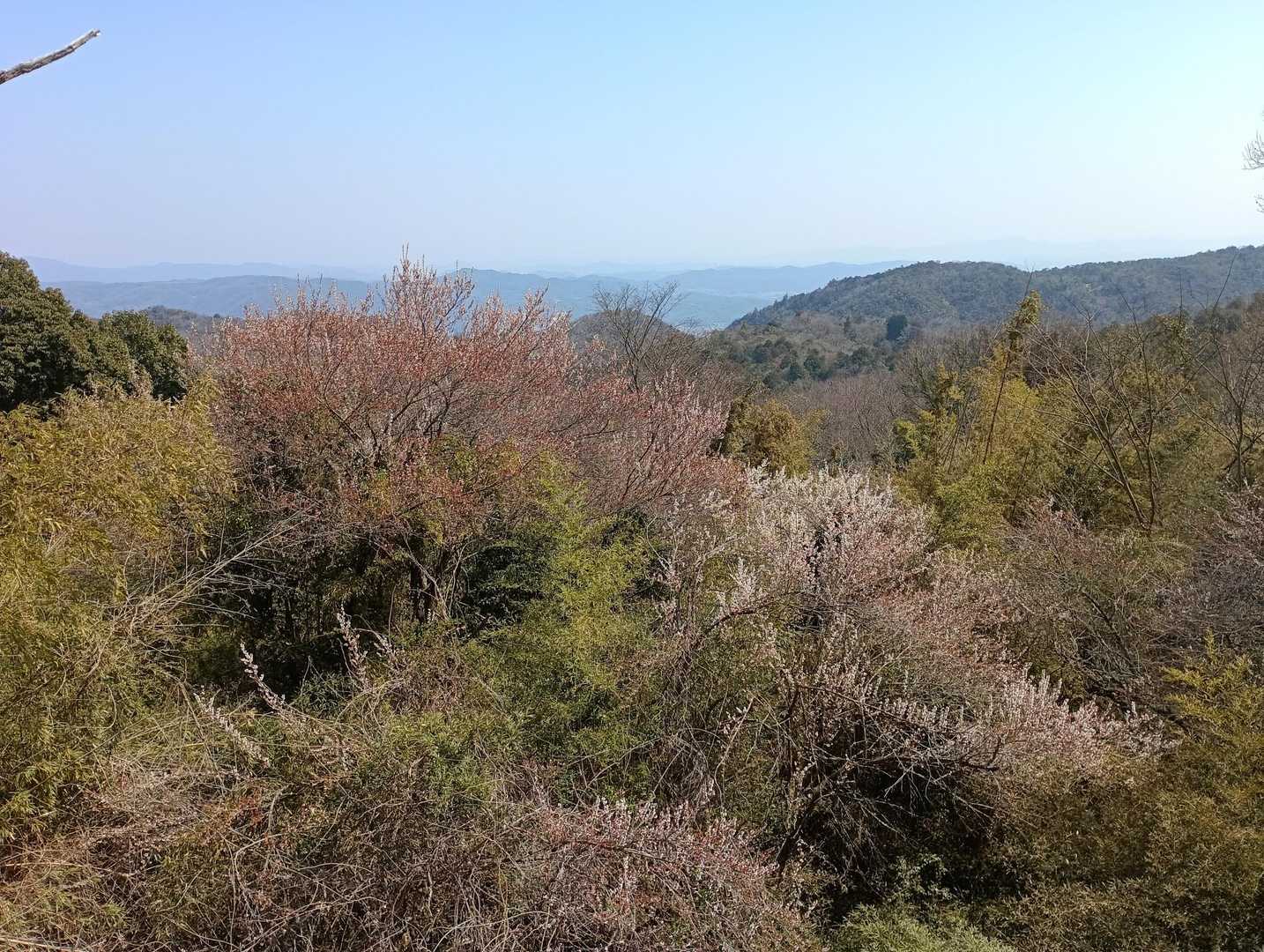 境内から