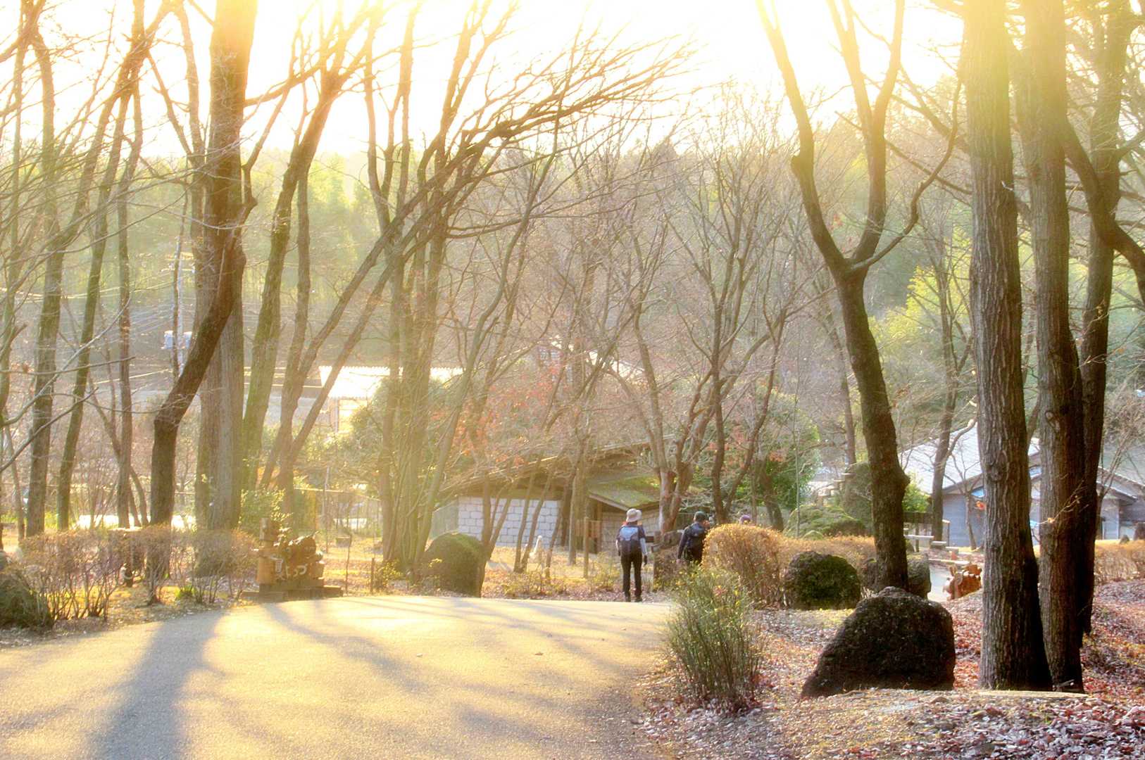 帰り道は・・
夕焼け小焼け💖
