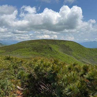 ついに雷電山。
のっぺりしていて、今のところどこがピークが分らない。