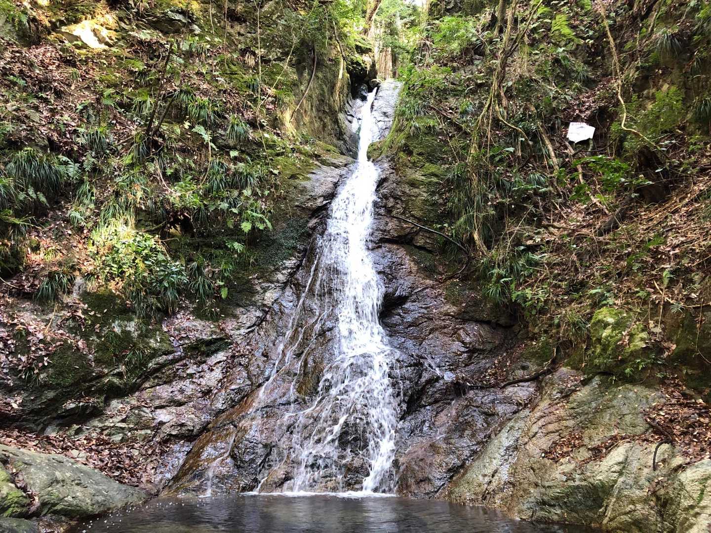 竜門岳 往復コースの写真