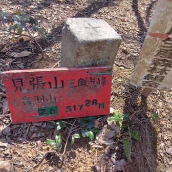 見張山山頂。ここには過去にも来たことが。でも見えるものに記憶なし。
山開始時はここまで来るつもりしてませんでした。17時間の勤務を終えて寝ずで雑用してこの地の登山口に。天頑山登頂したら即下山開始するつもりで入山。疲れで天頑山付近をスルー。頂どこかと歩く。一時ルート外れ藪漕ぎ。上へ上へ。ルートに戻るも、目指す頂より藪漕ぎした地点のが標高高いのは格好悪い。で、見張山まで。。。
丸１日起きてます。こんなこと今月は月初めにも。２度目だー。