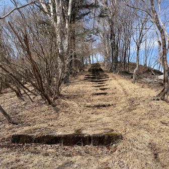 登山口からこの階段を登れば、山頂はすぐでした。