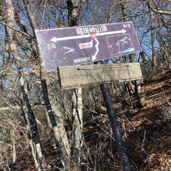 ここから下山開始