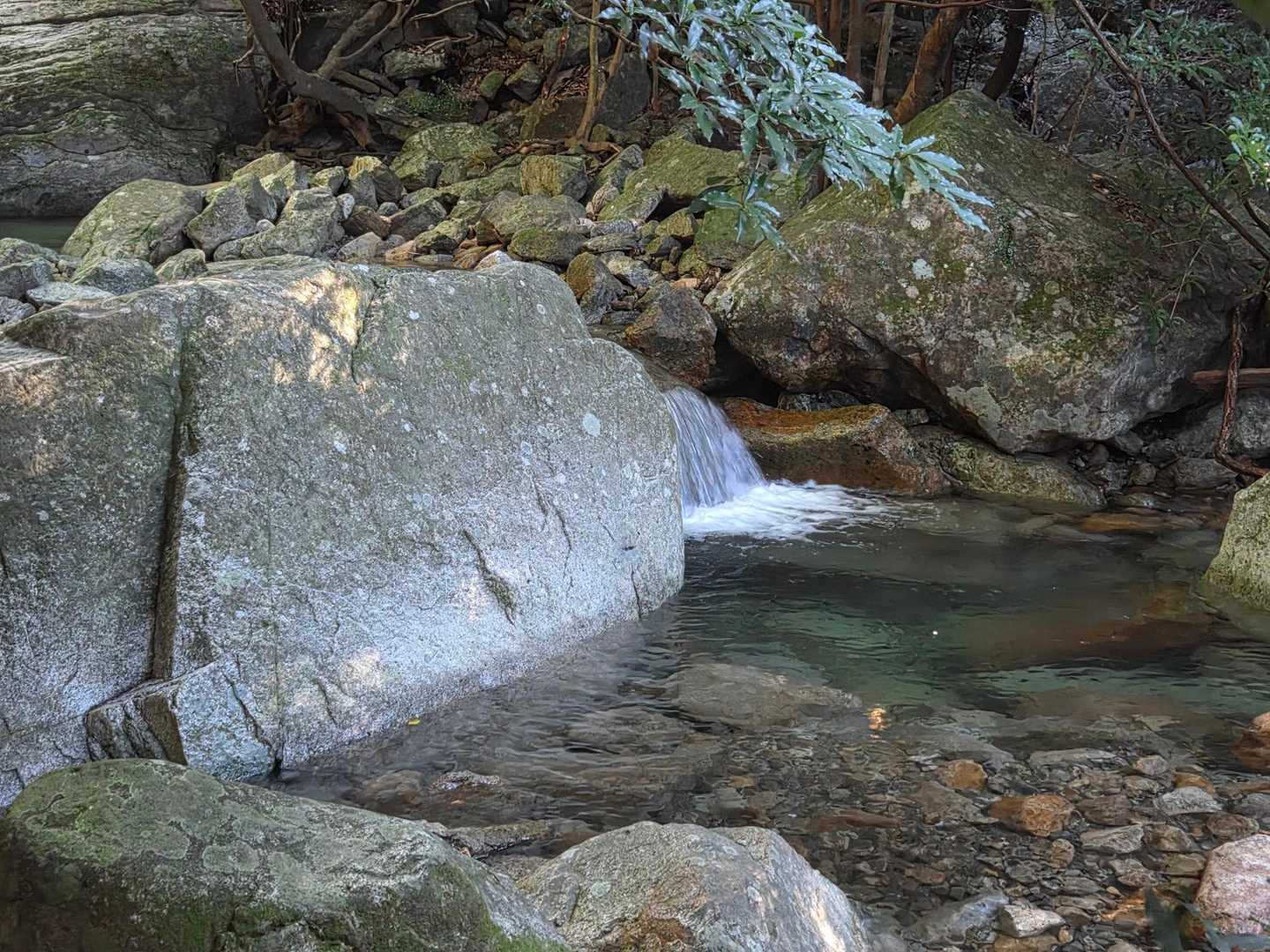 綺麗な水
