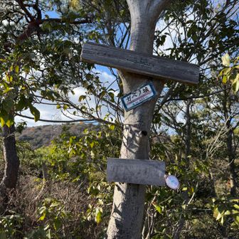 何がガベノ城？？
わからないけどとりあえず登頂しました🥹