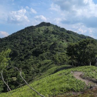 釣瓶山遠景
https://yamap.com/activities/13416879