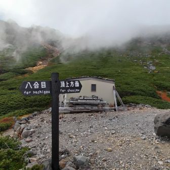 分岐
ここからがまた大変