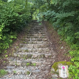 早速
石段へ