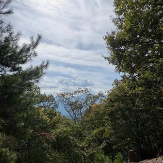 富士山はどこですか？😭
