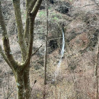 栃寄林道を進むと栃寄大滝