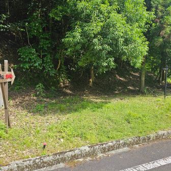 堂本口バス停から南へ歩いて15分、旧鯖街道入口に着きました。ここから山道です。