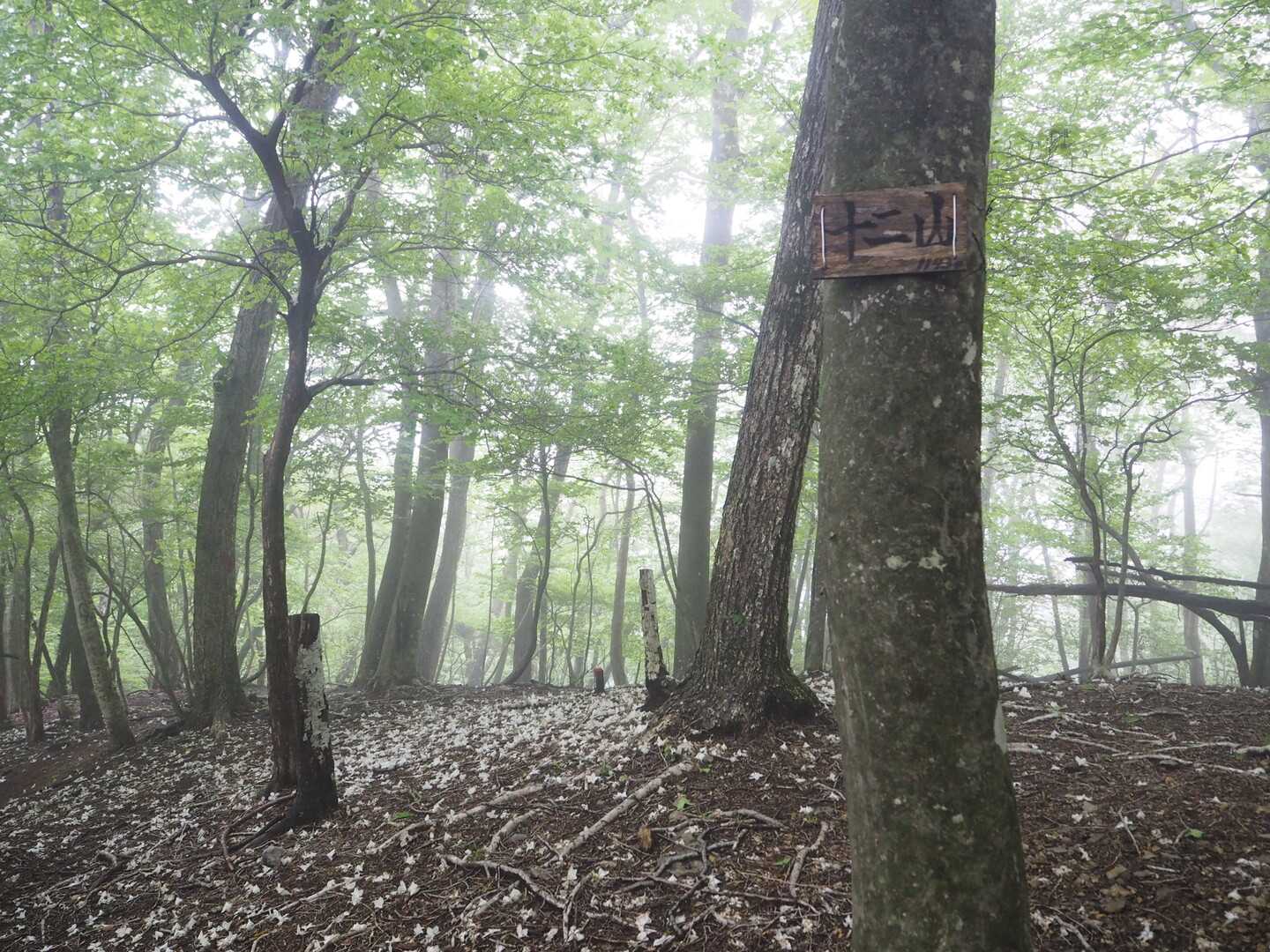 十二山の写真