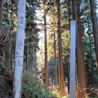 12月とは思えない暖かさ    予報では20℃を越えるそうです💦
