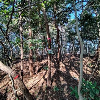 この左の少しある平場で「風がないから」うどん作製されていた
寒いからうらやましかったです
道は適当に行ってこい