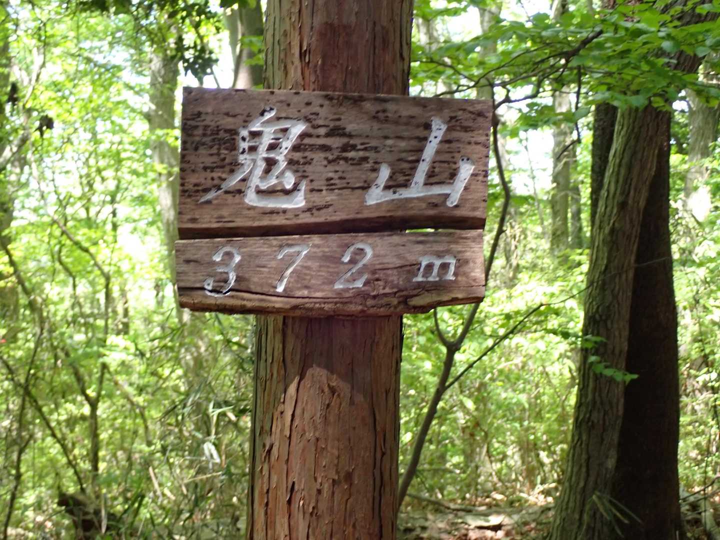 鬼山にとうちゃこ👏
