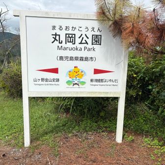桜の季節も良さそう🌸