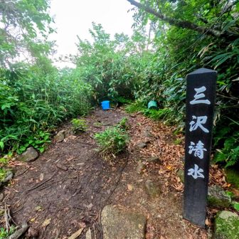 この山は水が豊富です。3Lも担いで来る必要無いじゃん💧