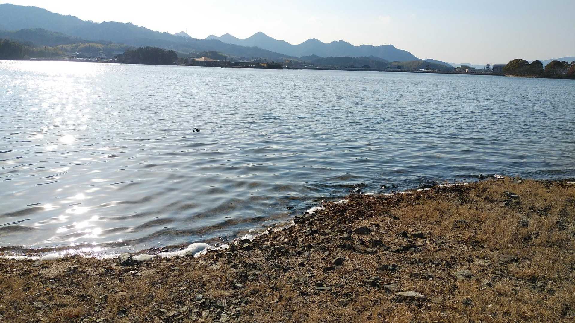 長沢池畔へ下り立ち