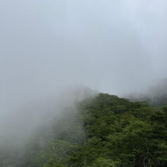 たまに抜ける。