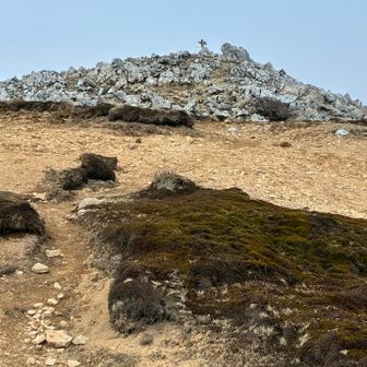 経塚山山頂までは
苔、いきなりカレンフェルト