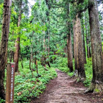 とても綺麗に、歩き易く整備された登山道　