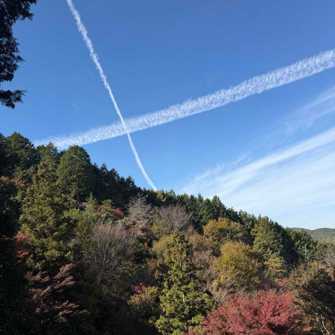 宮路山 往復コースの写真