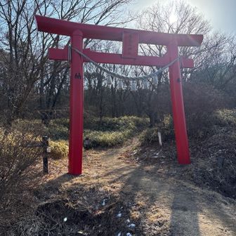 鳥居をくぐって登山開始